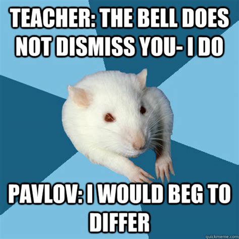 Psychology Major Rat memes | quickmeme