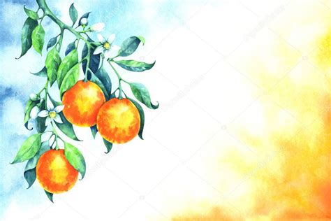 Hojas De Acuarela Pintadas A Mano Flores Y Frutos Naranjas En Rama