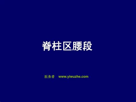 脊柱腰段断层解剖word文档在线阅读与下载无忧文档