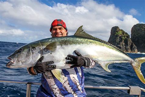 The Worlds Biggest Kingfish The Fishing Website