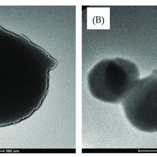 SEM EDS Images And Elements Of S Lutetiensis A B And L Plantarum