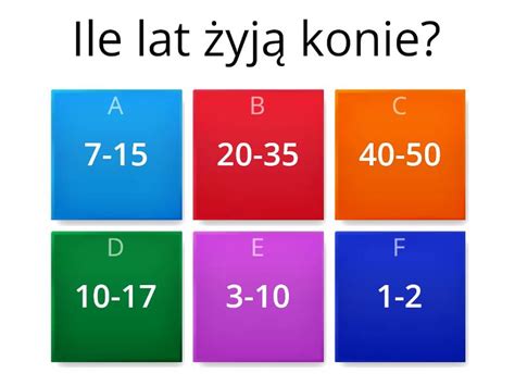 Test Wiedzy O Koniach Quiz