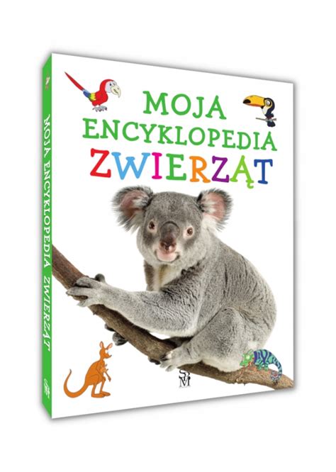 Encyklopedia Kompendium Wiedzy Dla Niska Cena Na Allegro Pl