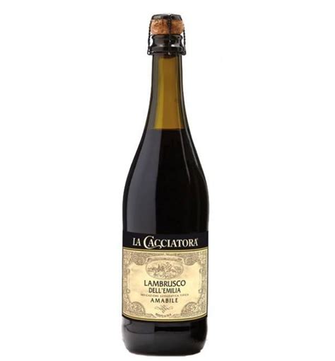 Lambrusco Dell Emilia Amabile Igt Vinicola Pegoraro