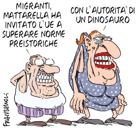 La Vignetta Di Franzaroli Il Fatto Quotidiano