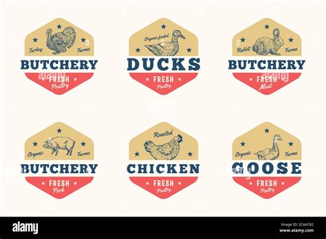 Farm Meat And Poultry Abstract Vector Signs Symbols Or Logo Templates