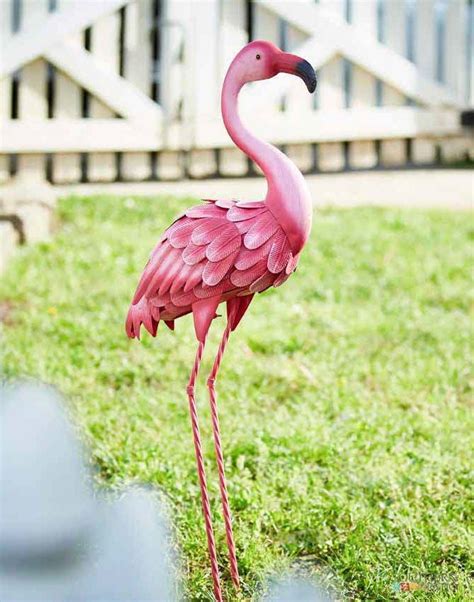 Home By Ames Home By Ames Pink Flamingos Lawn Ornaments Flamingo Decor Flamingo Garden