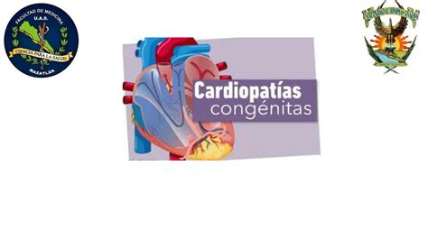 Solution Cardiopatias Congenitas Studypool