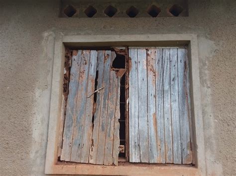 Termites | Cloud Over Nations