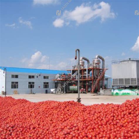 Tomato Juice Processing Line Jiangsu Lazen Machinery Technology Co Ltd