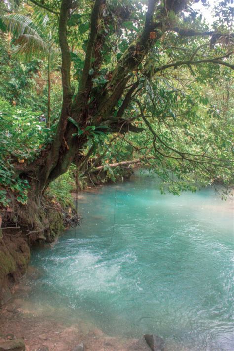 Your Guide to Tenorio Volcano National Park in Costa Rica - Be My ...