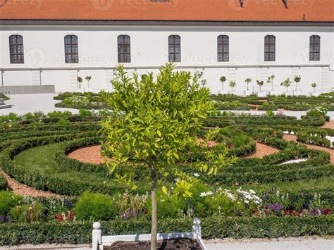 Bratislava at the danube river 7298798 Stock Photo at Vecteezy