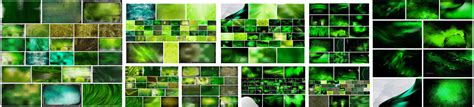 15 Green Texture Design Bundles Download High Resolution Images And Vector Art 123freevectors