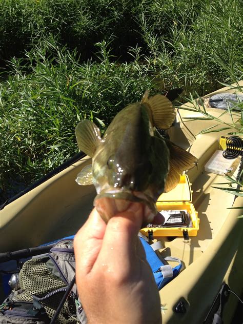 Outdoor Pastor: Eleven Point River Trip, Dedicated to Brandon Roach
