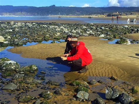 Best Tide Pools Oregon Coast Map Map Of Counties Around London