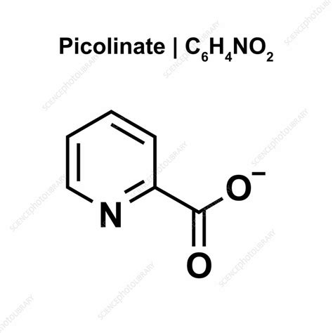 Picolinate Structure Illustration Stock Image F042 8071 Science