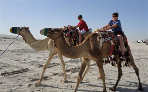 Chutes in Qatar: Desert Safari