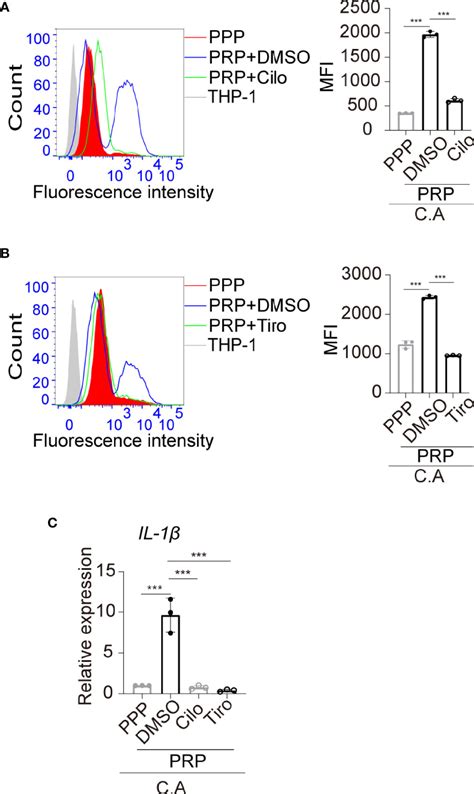 Frontiers Gp Iib Iiia Mediated Platelet Activation And Its Modulation