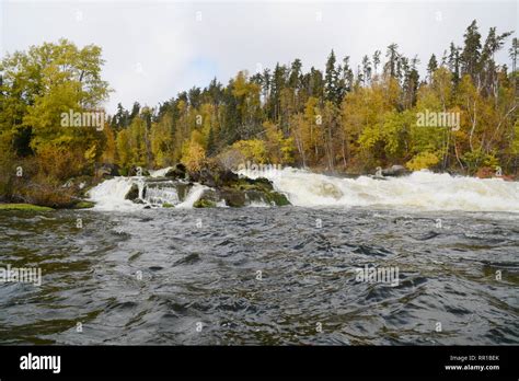 Boreal Forest Canada Hi Res Stock Photography And Images Alamy