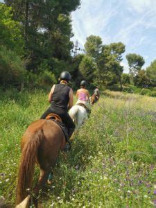 Balades et randonnées à cheval