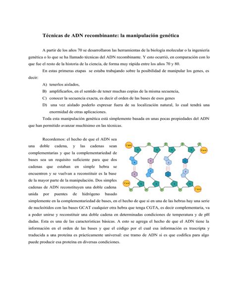 Técnicas de ADN recombinante la manipulación genética