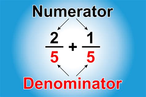 Identify Numerator And Denominator Worksheet