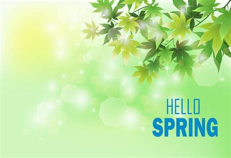 Fondo De Primavera Con Hojas Verdes Frescas Vector Premium