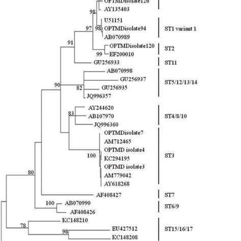 Phylogenetic Tree Of Subtypes Of The Ssu Rrna Gene Sequences