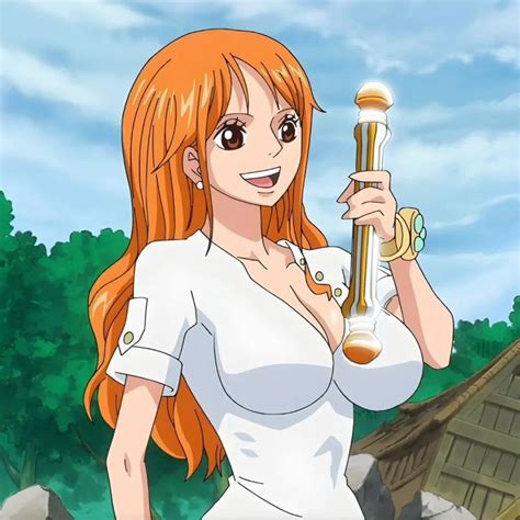 Nami Swan One Piece Nami Chica Anime Manga Zelda Characters