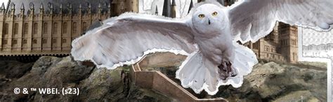 Amazon Wizarding World HARRY POTTER Hot Chocolate Mug Gift Set Includes Color Changing