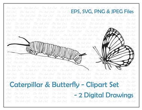 Monarch Caterpillar And Butterfly Clipart Set Outline Line Etsy