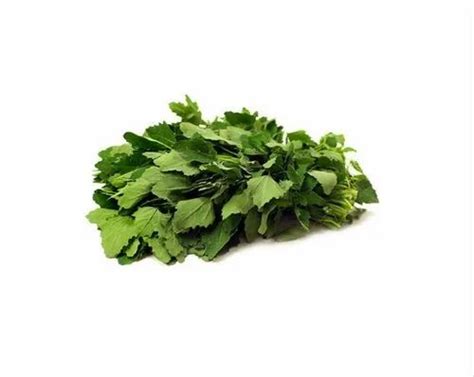 A Grade Bathua Leaves at best price in New Delhi | ID: 23233533997