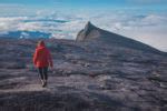 Ultimate Guide To Hiking Mount Kinabalu Wandering Wheatleys