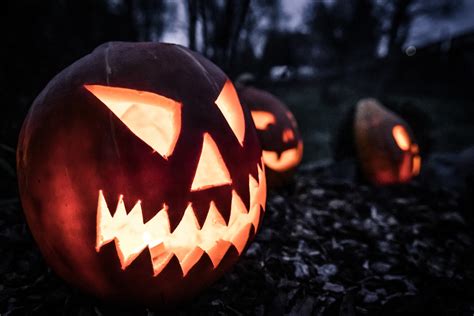 Halloween Pumpkins Free Stock Photo - Public Domain Pictures