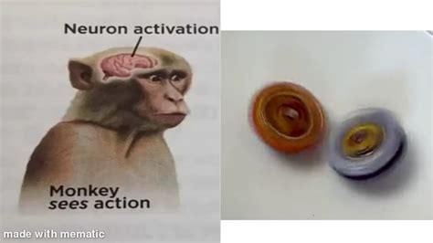 Monkey Sees Action R Beyblade