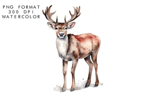 Watercolor Reindeer Clipart Graphic By Watercolorbykr · Creative Fabrica