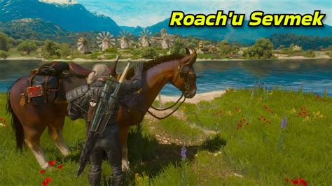 Witcher Yeni Nesil G Ncellemesi Roach U Sevme Mekani I Youtube