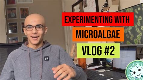 Designing The Experiment Experimenting With Microalgae Episode 2