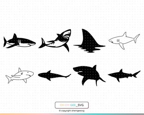 Sharks Svg Bundle Shark Svg Sharks Png Sharks Clipart Etsy