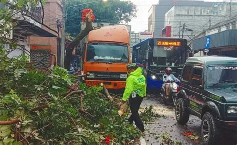 Hindari Kecelakaan Truk Tronton Tabrak Pohon Di Jalan Gandawijaya Cimahi