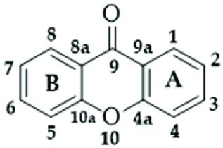 Basic structure of xanthones. | Download Scientific Diagram