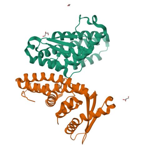 RCSB PDB 8YL4 Crystal Structure Of The De Novo Designed Protein 200