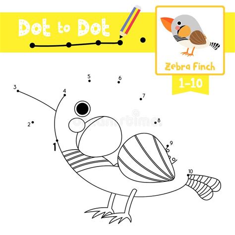 Dot To Dot Educational Game And Coloring Book Zebra Finch Bird Animal