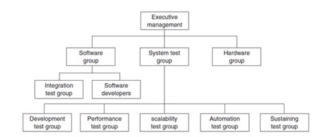 Explain Structure Of Testing Group