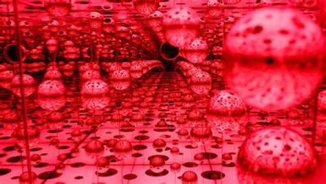 'Yayoi Kusama: Infinity Mirrors' exhibit at the AGO | CTV News