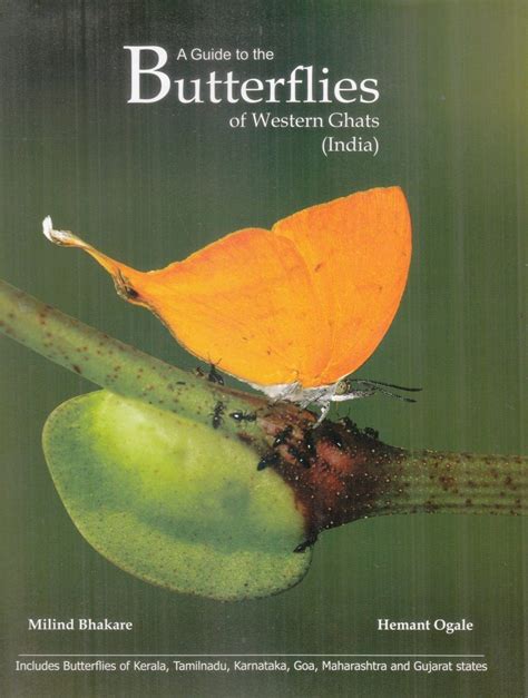 A Guide To Butterflies Of Western Ghats India Nhbs Field Guides