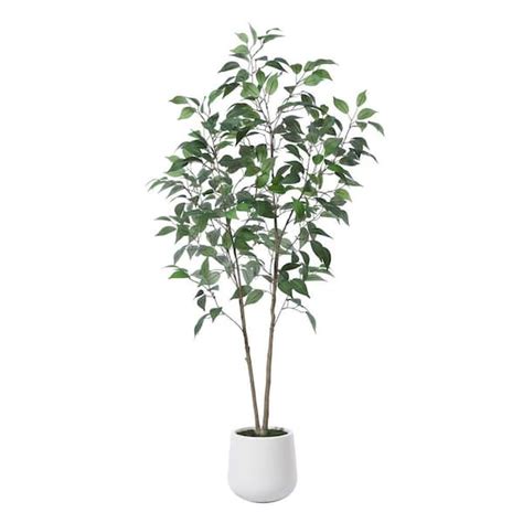 DR Planzen 5 Ft Faux Ficus Tree With Round White Planter Pre Potted