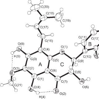 Ortep View Of The Molecule Showing The Atom Labelling And