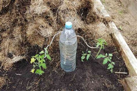 Mom Shares Genius Hack for Easy DIY Irrigation System - Dengarden