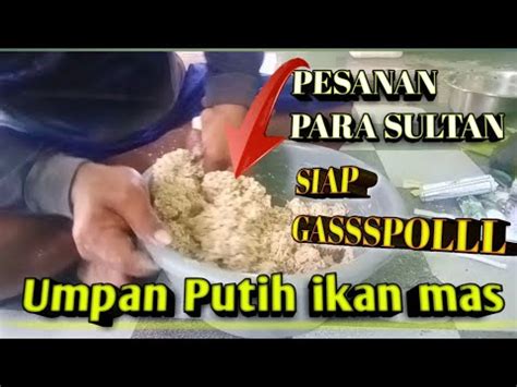 Umpan Putih Ikan Mas Yang Siappp Gasss Polll Mancing Kemana Aja YouTube